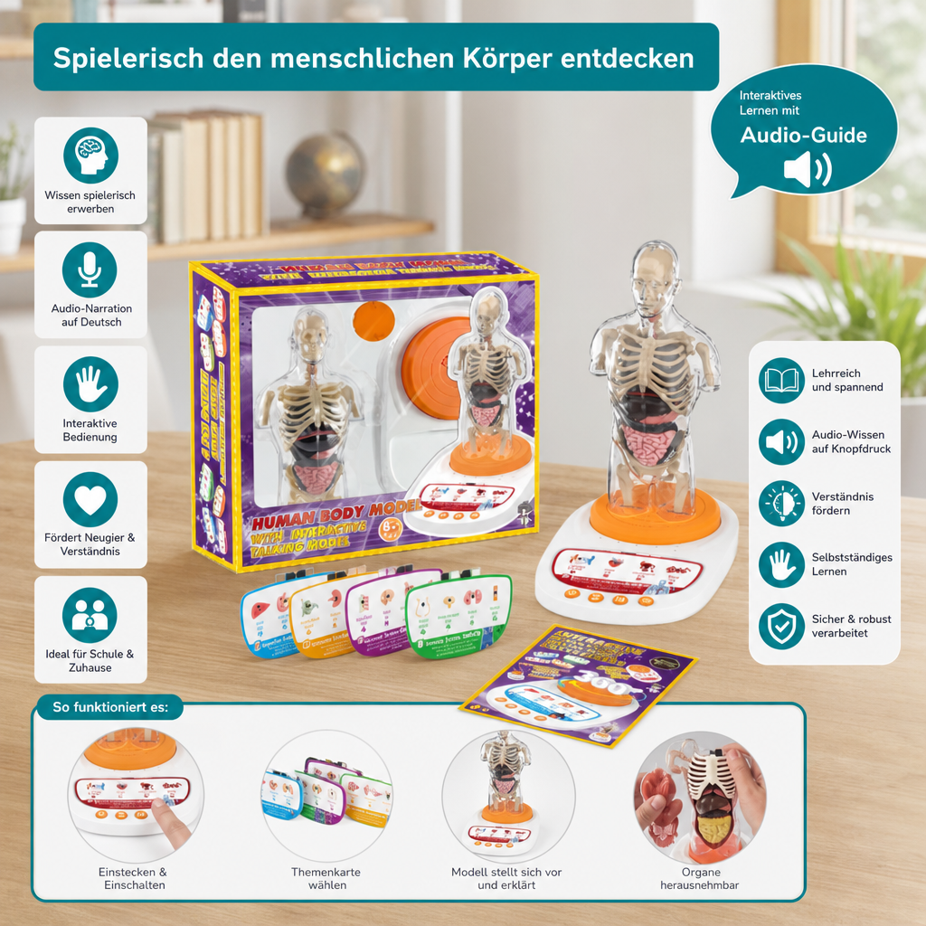 Interaktives sprechendes Anatomiemodell mit herausnehmbaren Organen & audiogeführtem Lernen