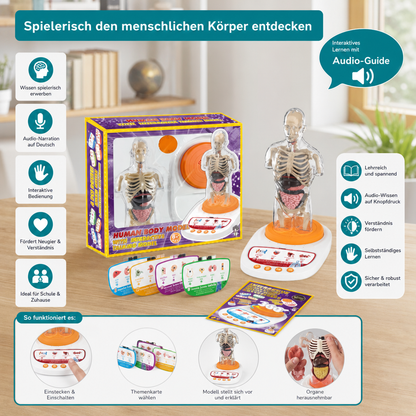Interaktives sprechendes Anatomiemodell mit herausnehmbaren Organen & audiogeführtem Lernen