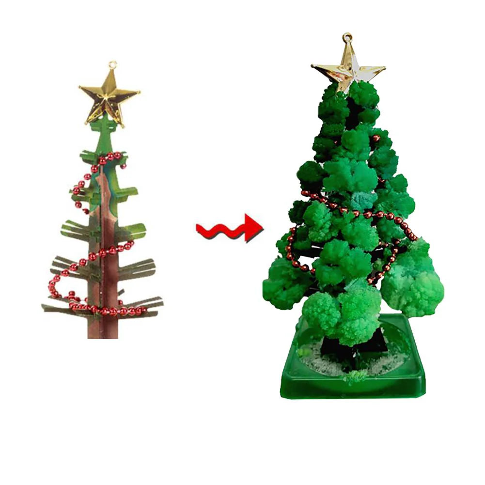 Magische Weihnachten – DIY Weihnachtsbaum-Anzuchtset (1+1 GRATIS)
