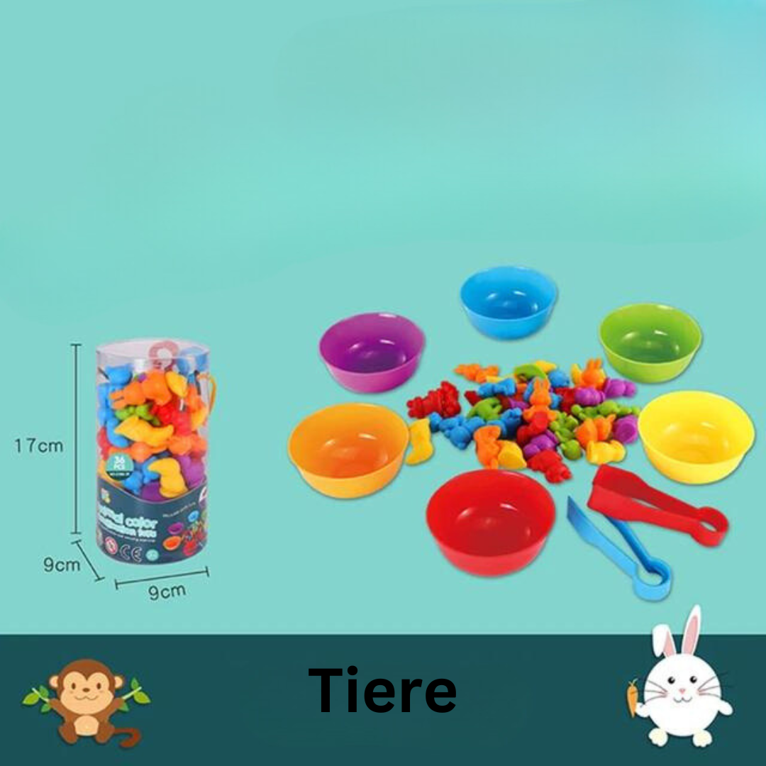 Montessori Buntes Sortierspiel