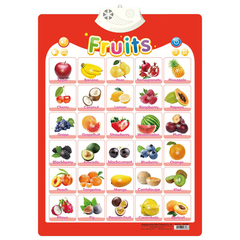 Sprechendes Sound Board zum Englisch Lernen für Kinder