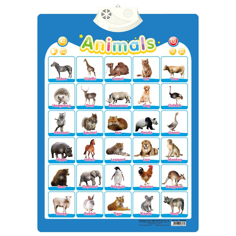 Sprechendes Sound Board zum Englisch Lernen für Kinder