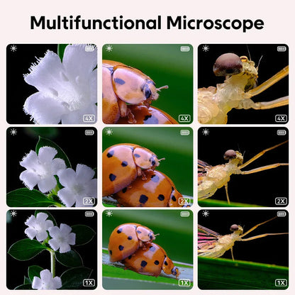 Entdecker-Mikroskop - Wissenschaft Hautnah