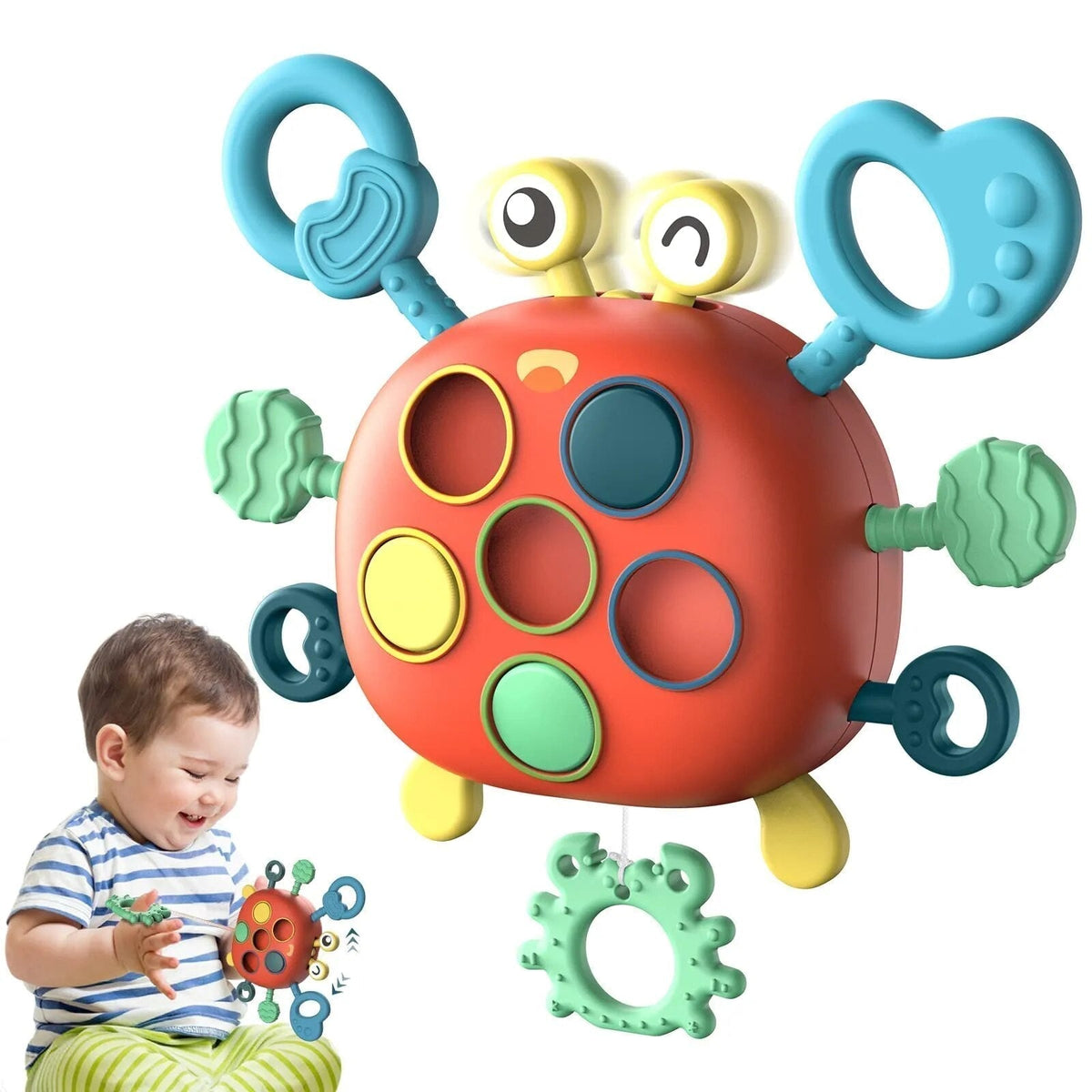 Sensorisches Entwicklungs-Spielzeug für Babys